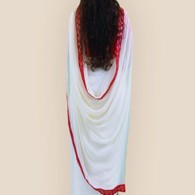 Georgette Saree with Gotta Patti Lace - Back View