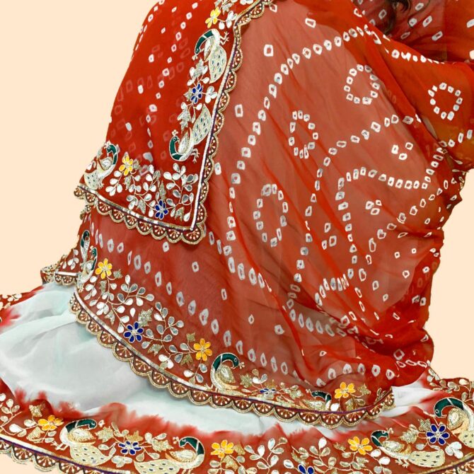 Red Bandhani Saree - Close-up view